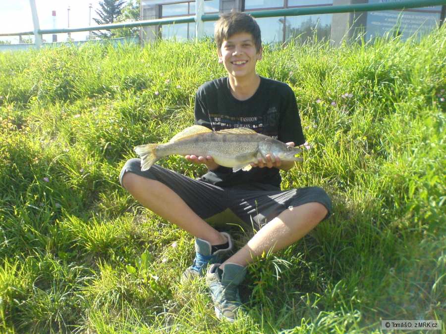 Candát 62 cm