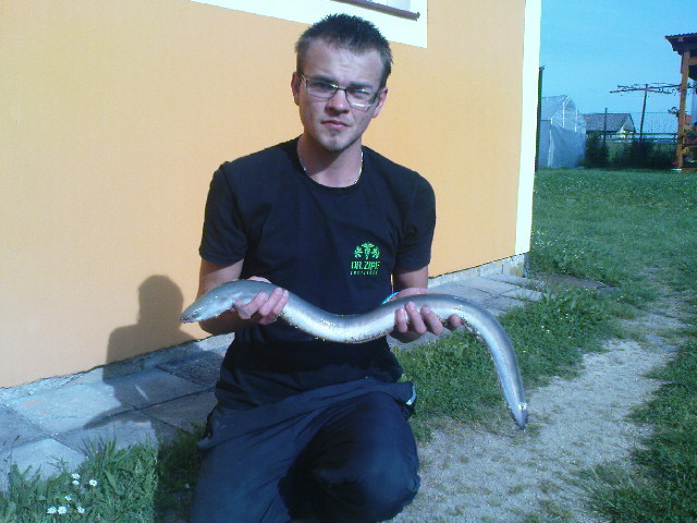 Uhoř 110 cm