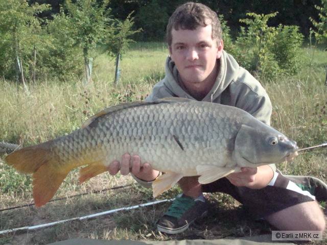 78cm 10 kg