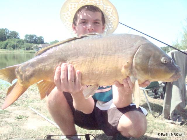 74 cm 9 kg