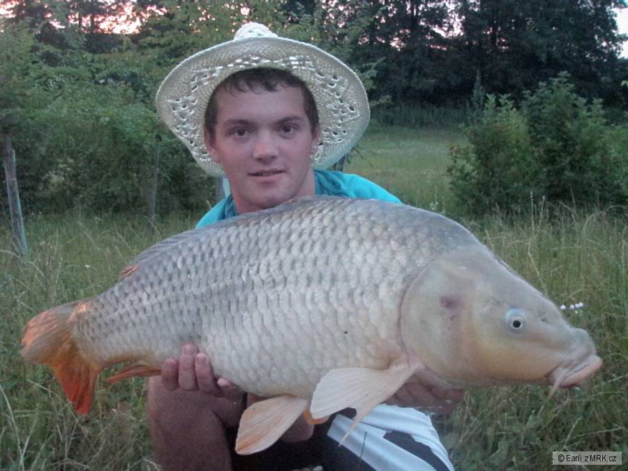 77 cm 10.5 kg