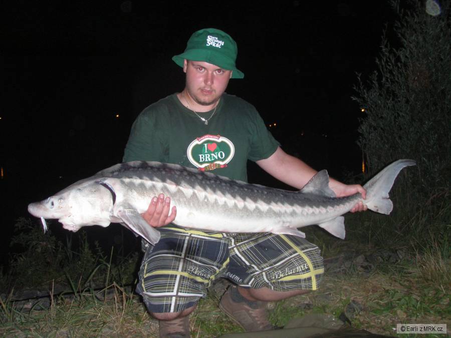 150 cm 18 kg