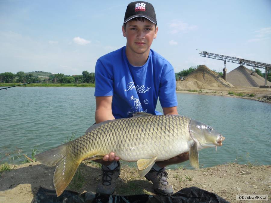 Kapr 75cm 6,8kg (Sportovní rybolov zaječí)