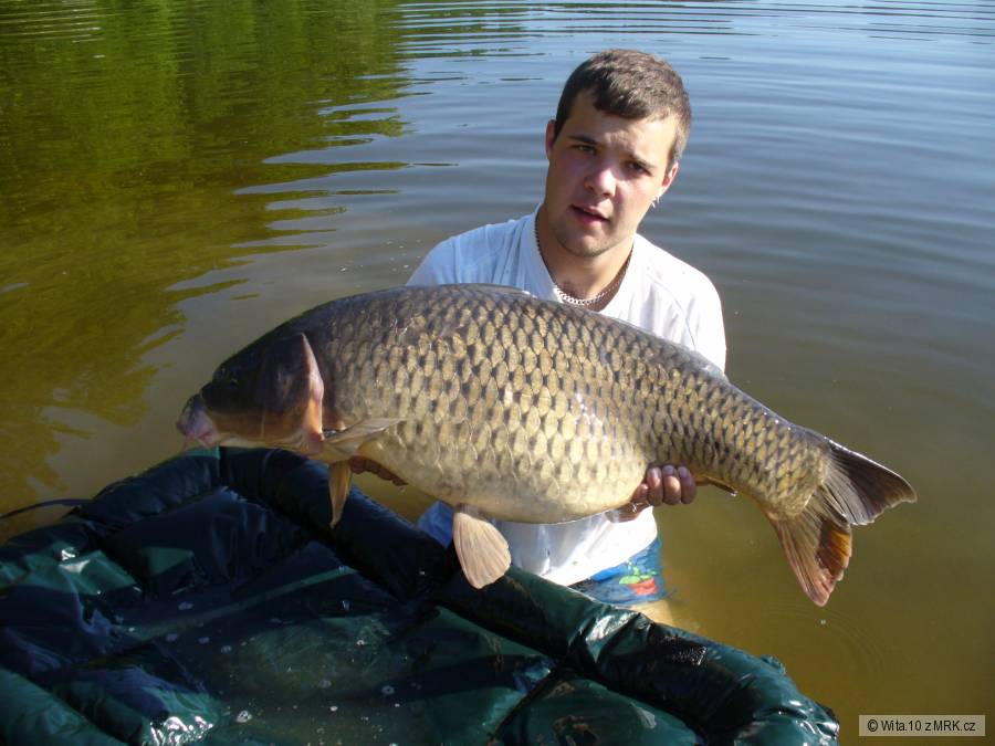 šupináč