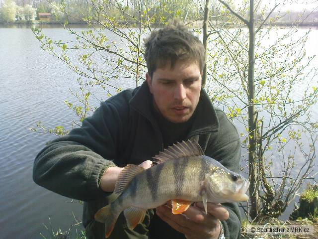 39cm