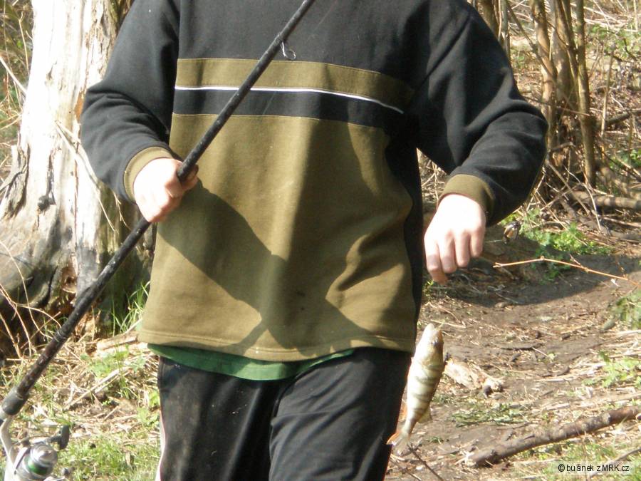 plavaná