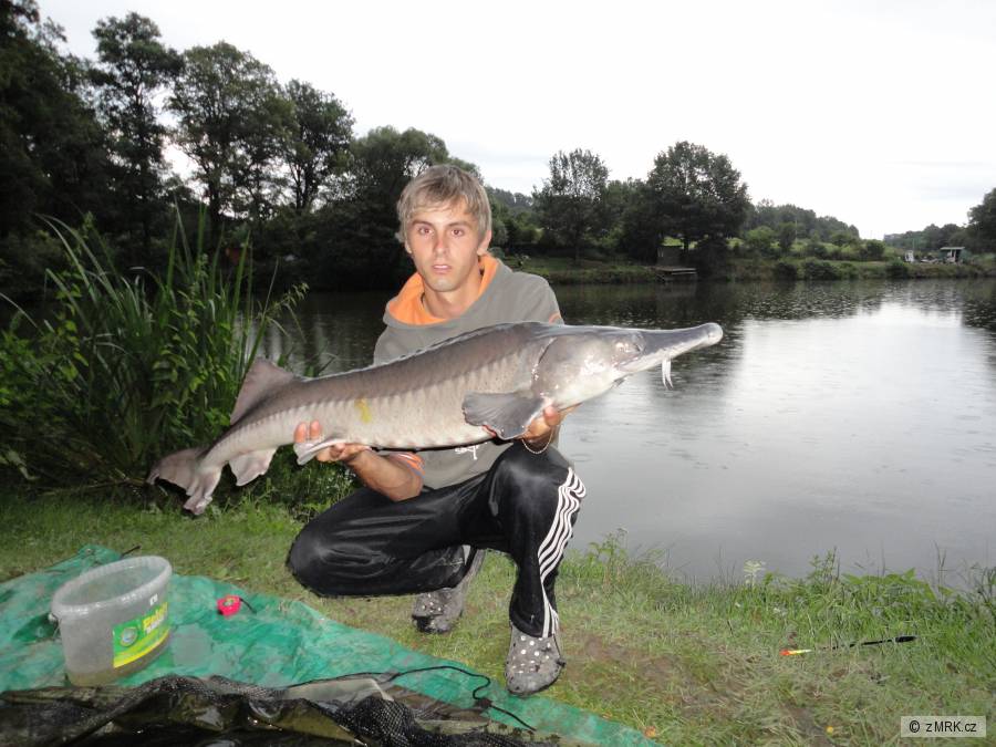 120-7kg