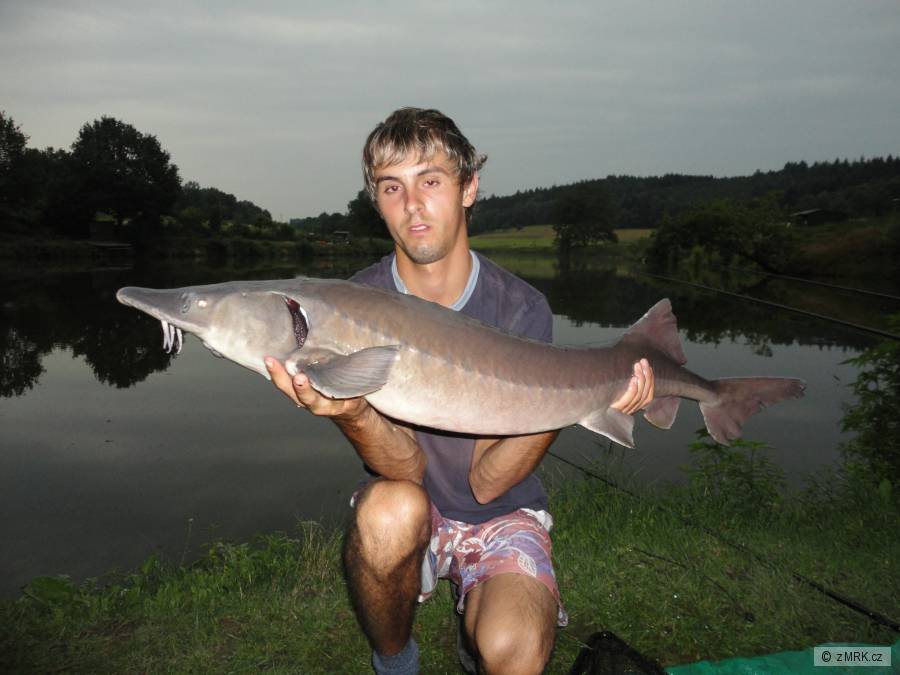 110-9kg