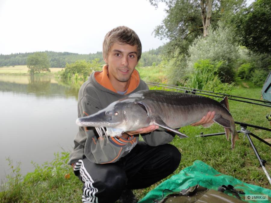 103-6kg