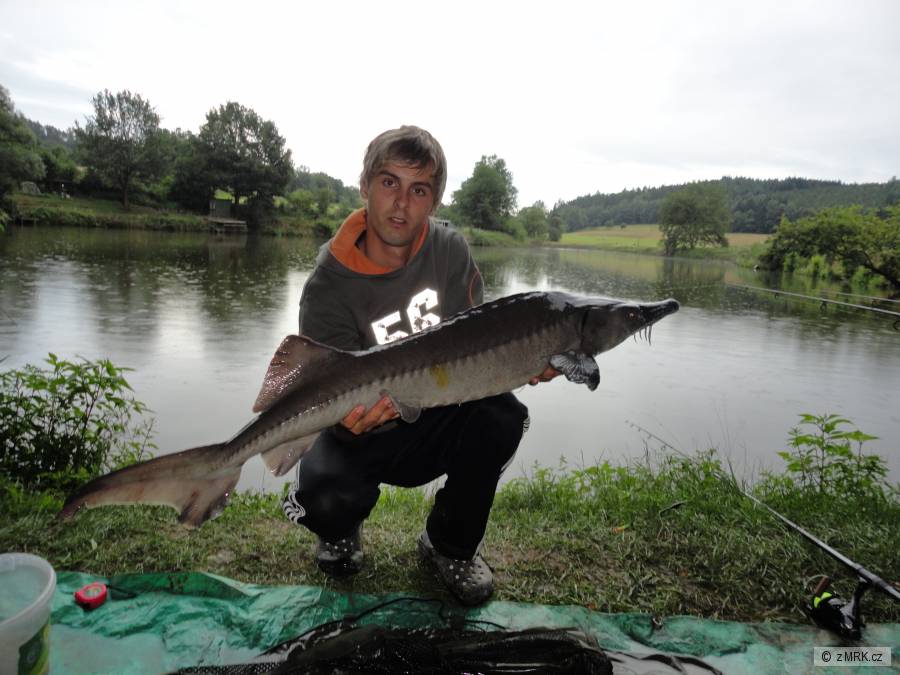 111-7kg