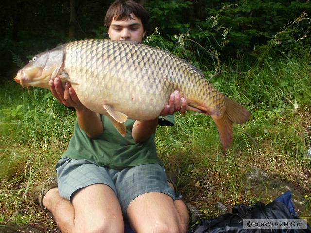 85cm 11,5kg