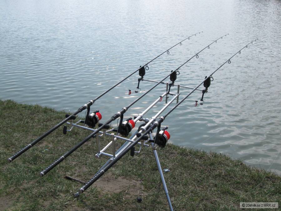 Speedy 12ft,2.50lb