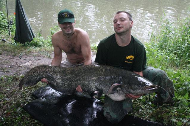 sumík 170 cm