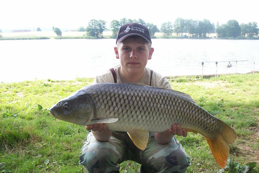 kapr 80 cm a 7 kg