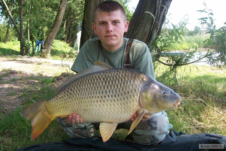 kapr 77 cm a 8,30 kg