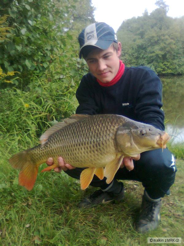 Jesenny kaprik