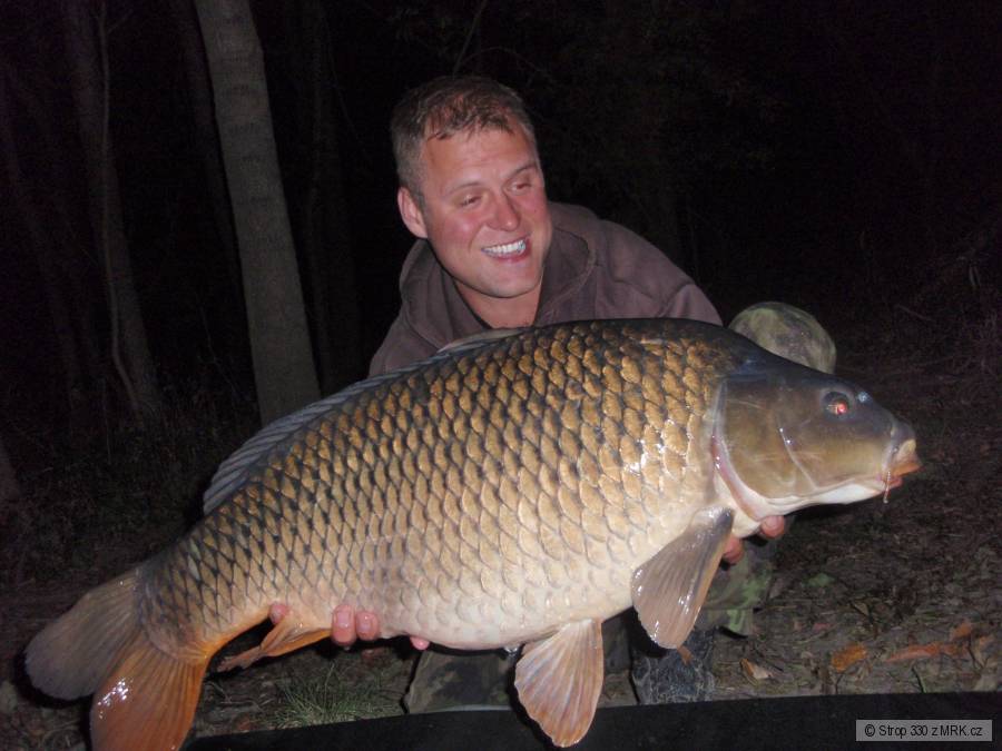 Kapr 84cm 15kg