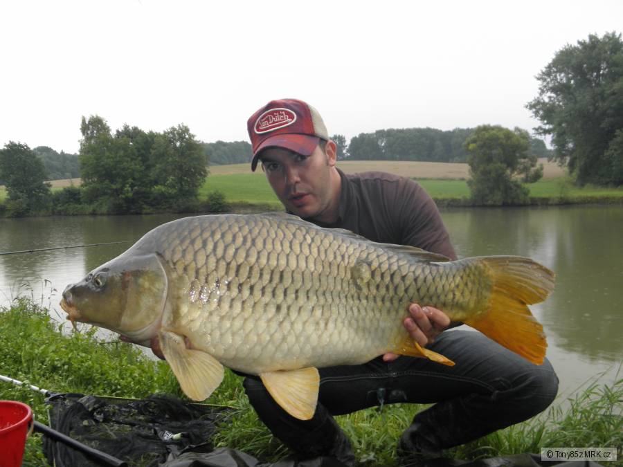 11kg šupík Pánáček sladká švětska