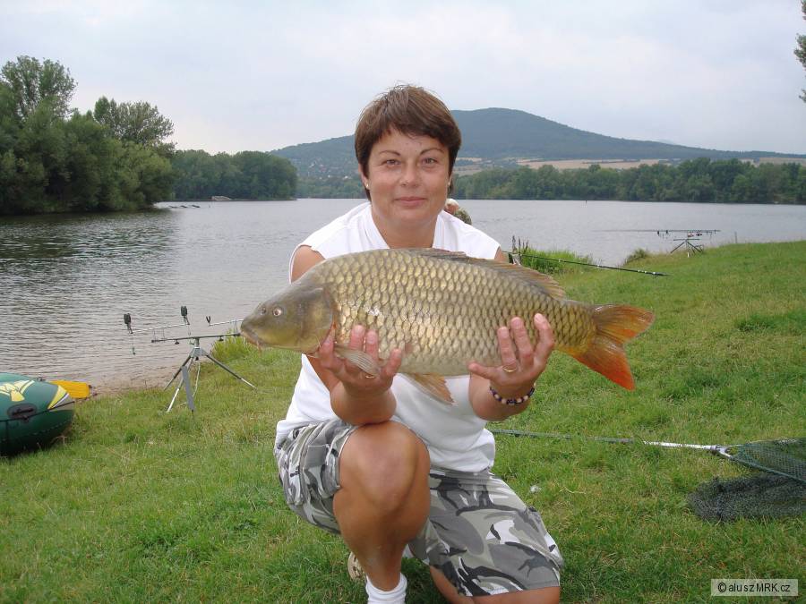 Pískovna Žernoseky