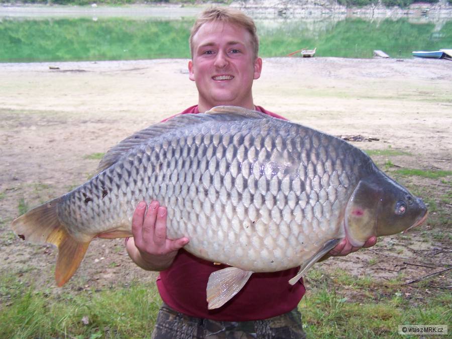Kapr 86 cm - 14,7 kg