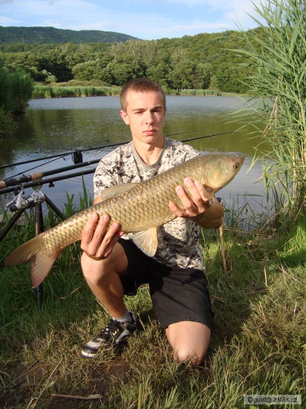 Amur 66cm -druhy kus 