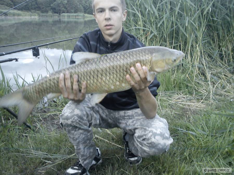 Amur 74cm a 7 kg