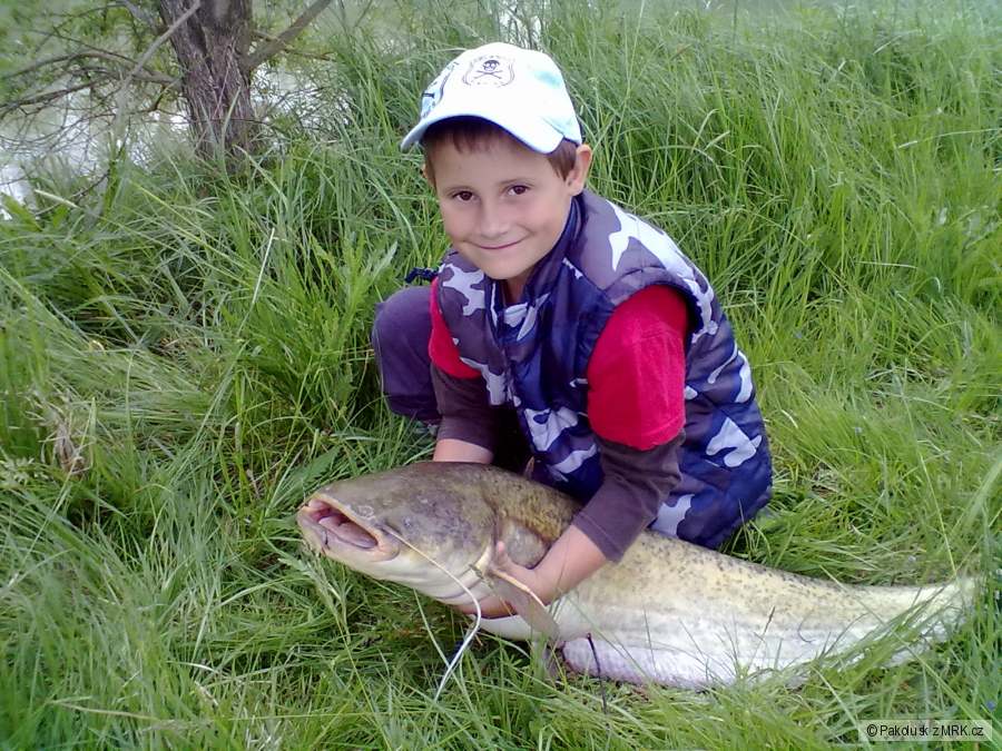 MŮJ PRVNÍ SUMÍK