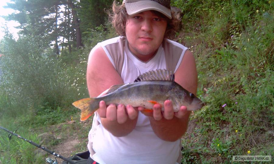 okoun 34cm