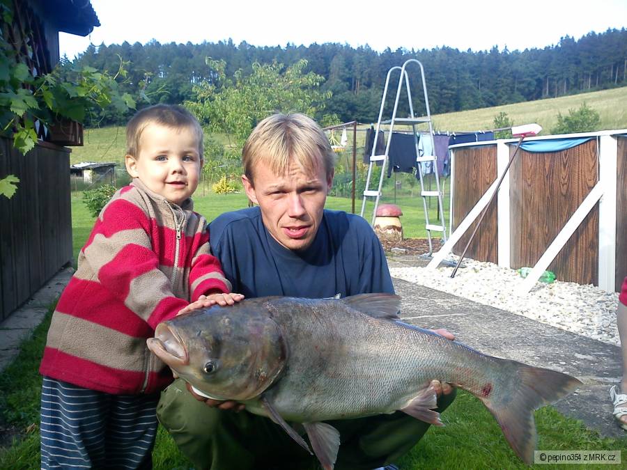 Tolstoj 87cm 10kg