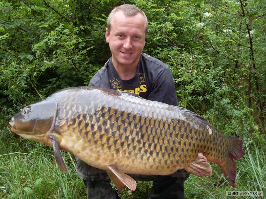 OSOBAK na GANGSTRA G2 96CM 18,5kg