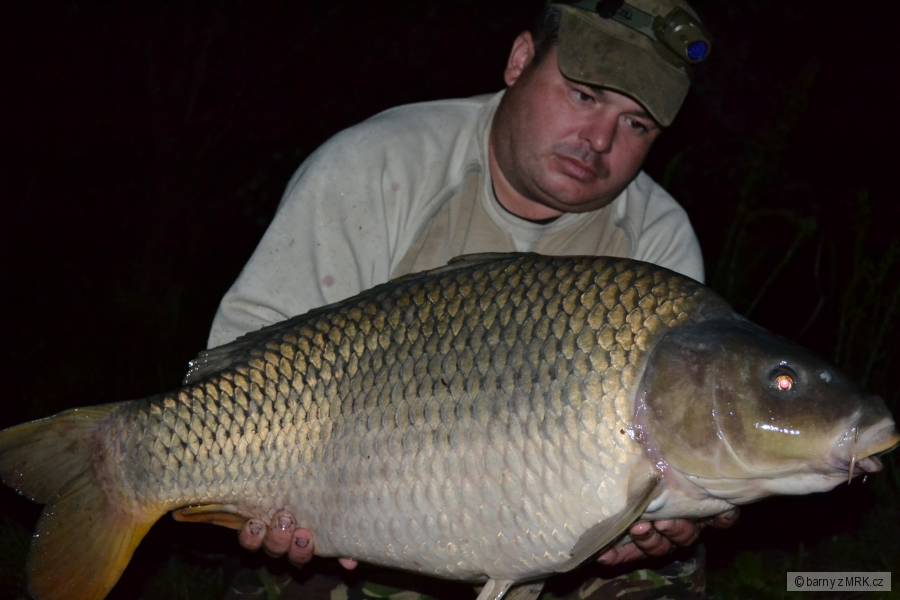 Kapr 82 cm,14 kg