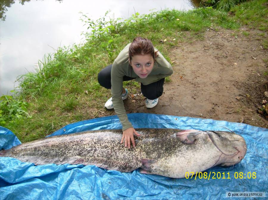 Sumec 188cm