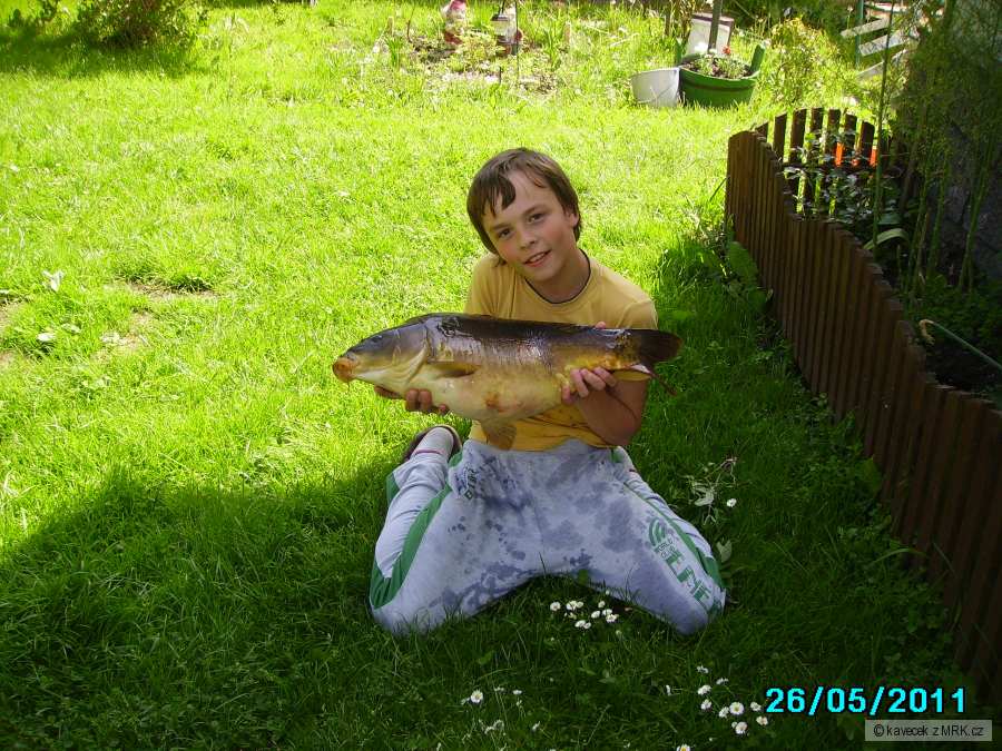 kaprik 68