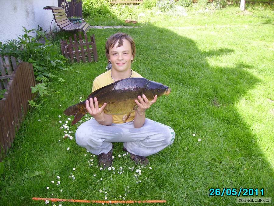 kaprik 68