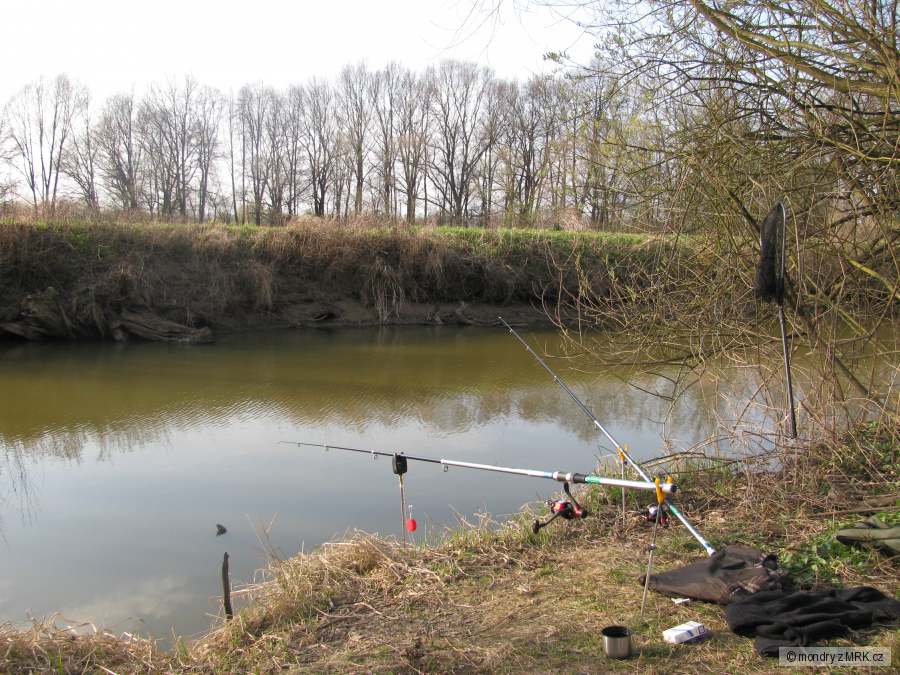 Bergráček