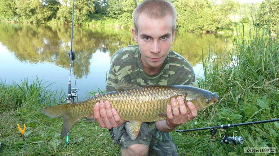 váleček 59cm amur :-)