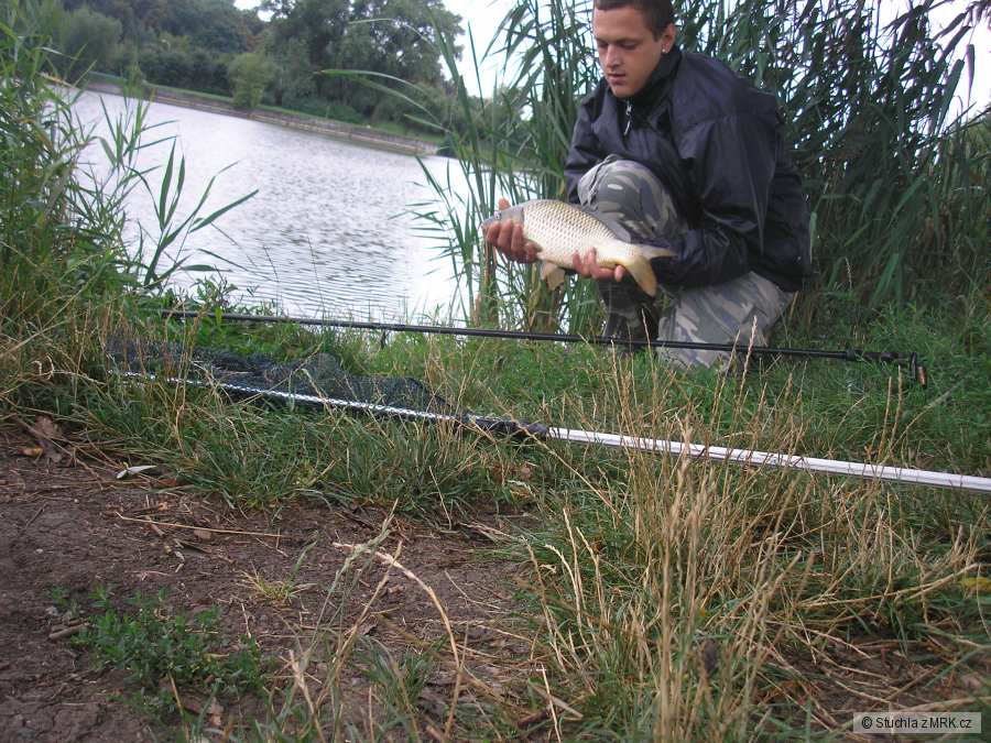 Kapřík, Slavkov