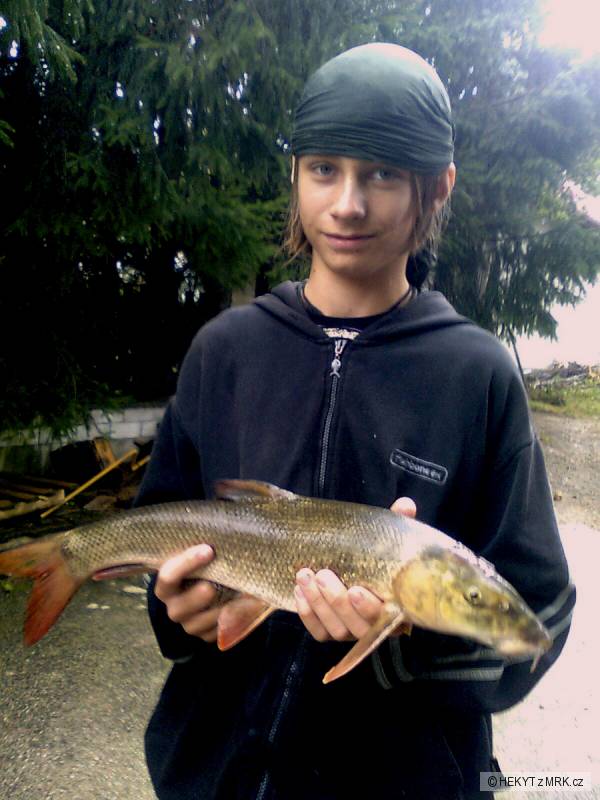 parma 62cm