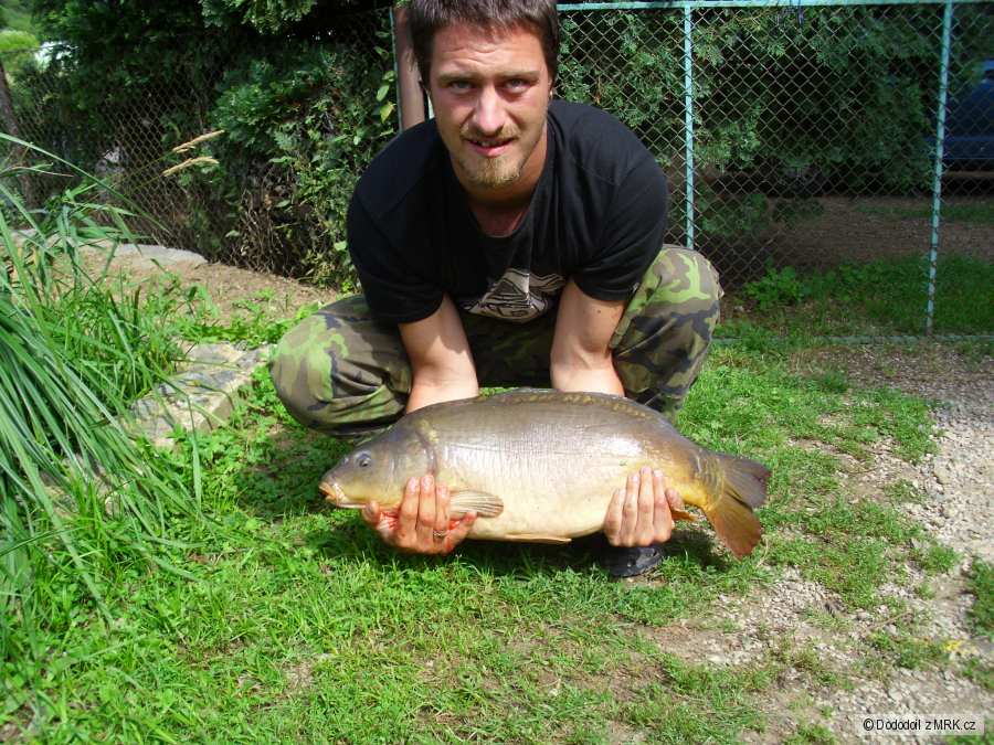 Kapr 82 cm - 9Kg