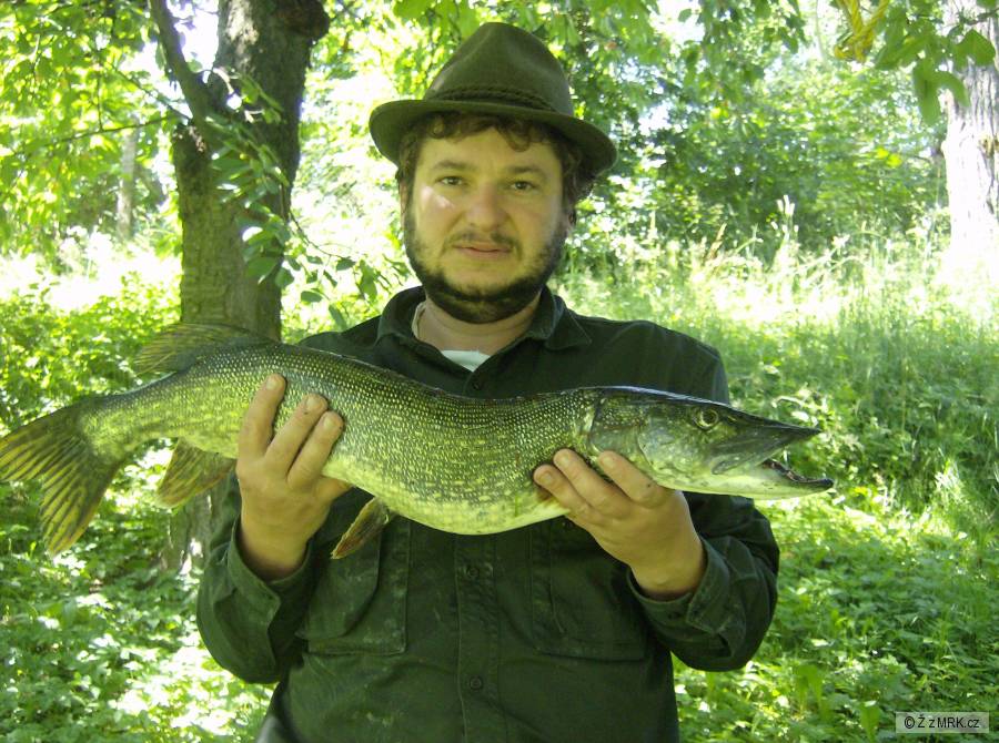 Štika 76 cm