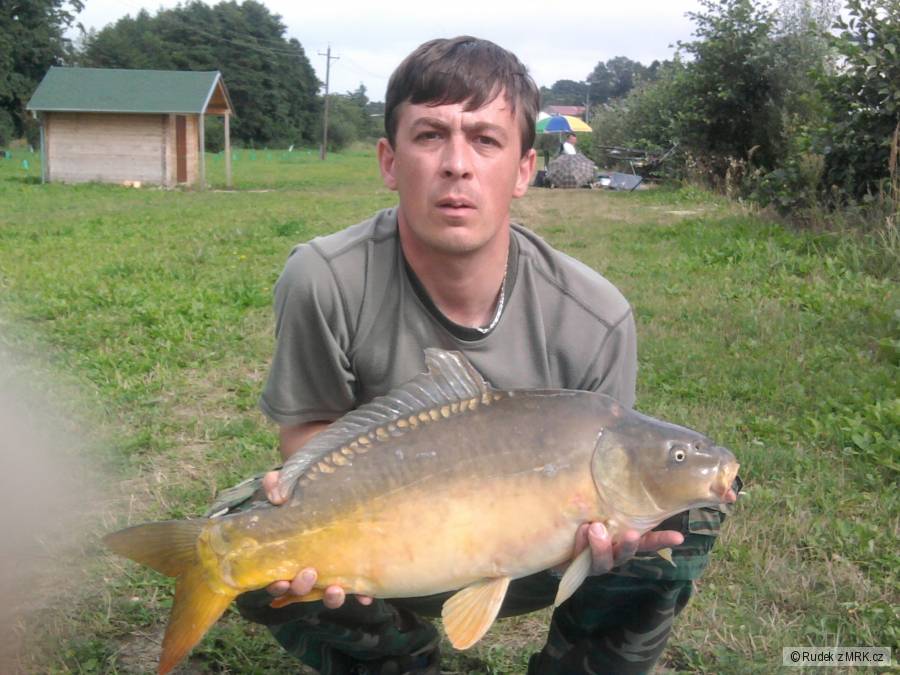 Kapr 75cm, 7kg