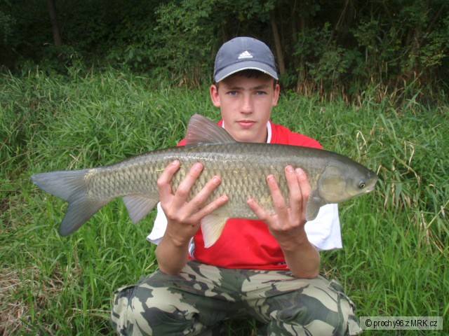 amur 68 cm