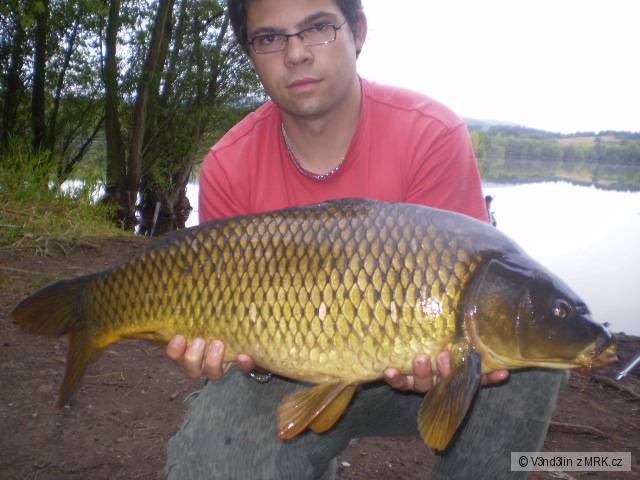 80cm