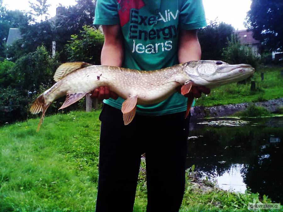 ŠtIkA 85cm