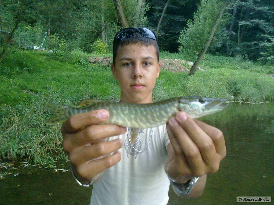 Malá ryba, taky ryba...... :-)