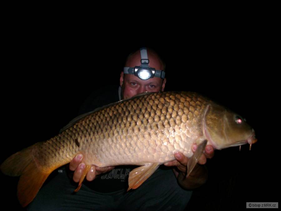 carp