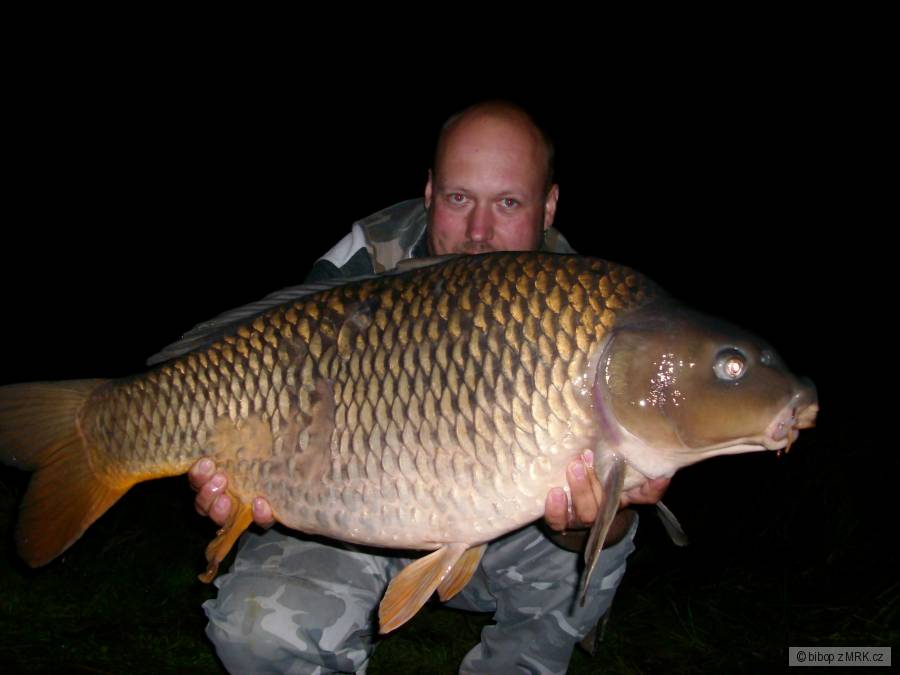carp