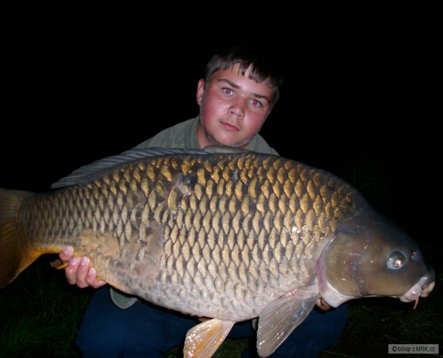carp