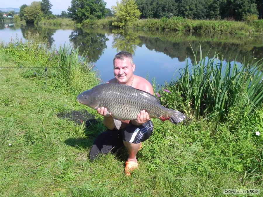 84cm,13kg...Bobri reka