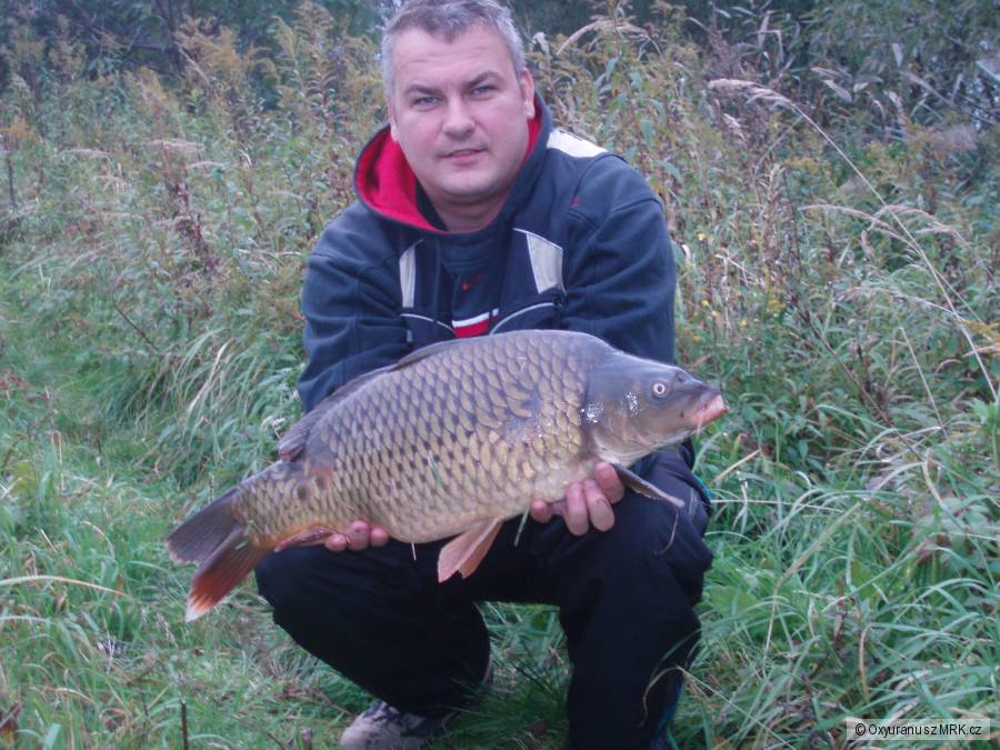 64cm....Odra